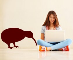 Kiwi-bird-sticker-on-the-wall