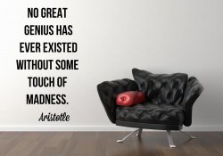 'No great genius has ever existed without some touch of madness.' Quotes by Aris
