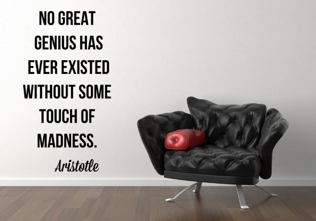 'No great genius has ever existed without some touch of 