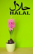 Halal Food - Commercial Wall / Window / Car Sticker