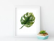 Monstera Deliciosa Leaf Poster Simple Tropical Minimalist Modern Print