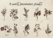 Most Poisonous Plants Stylish Retro Style Poster