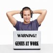 JC Design 'Warning! Genius At Work' Funny Vinyl Wall / Laptop Sticker