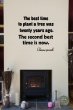 JC Design 'The best time to plant a tree was twenty years ago. The second best time is now.' Chinese Proverb - Motivational Quote Wall Sticker