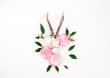 Goat Horns and Peonies Stylish Poster